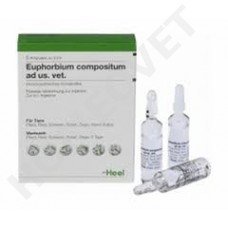 Heel Euphorbium compositum. amp 5 ml homeopathy